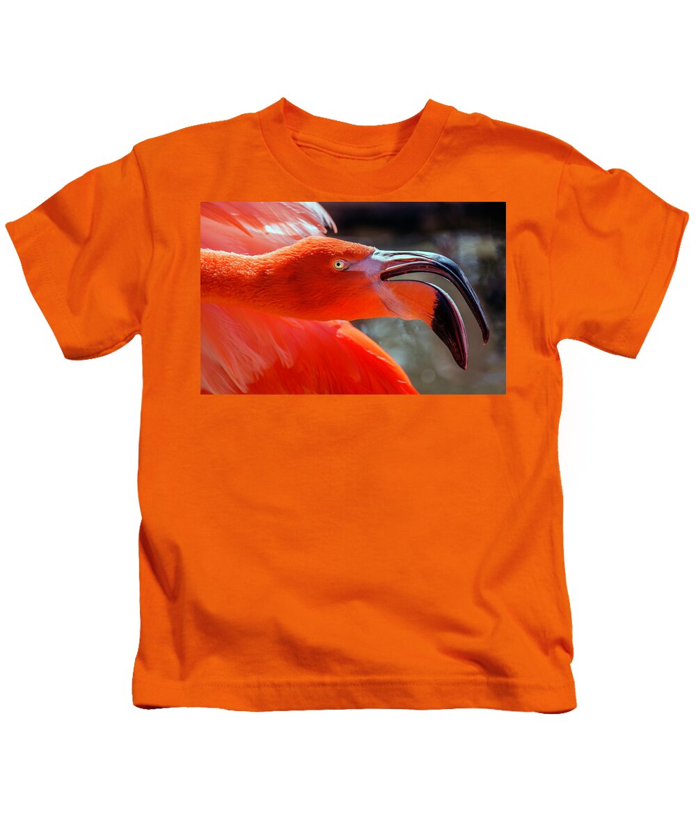Flamingo Kids T-Shirt featuring the photograph Pink Flamingo by WAZgriffin Digital