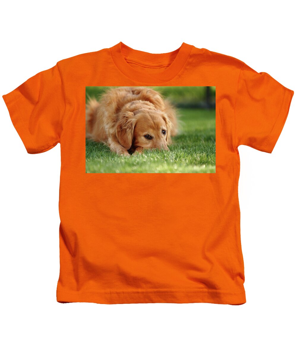 Dog Kids T-Shirt featuring the photograph Grassy Golden by Lens Art Photography By Larry Trager