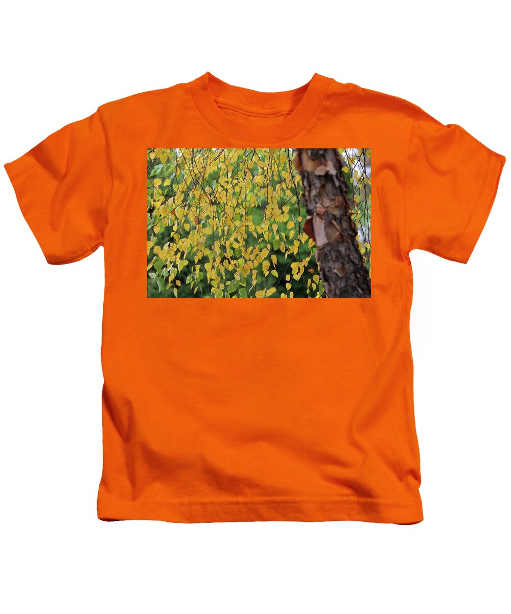 Seasons Kids T-Shirt featuring the photograph Green to Gold by Mary Anne Delgado