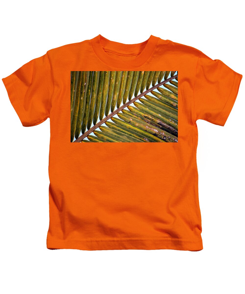 Palm Leaves Watercolor Kids T-Shirt featuring the photograph Palm Leaf by Thomas Schroeder