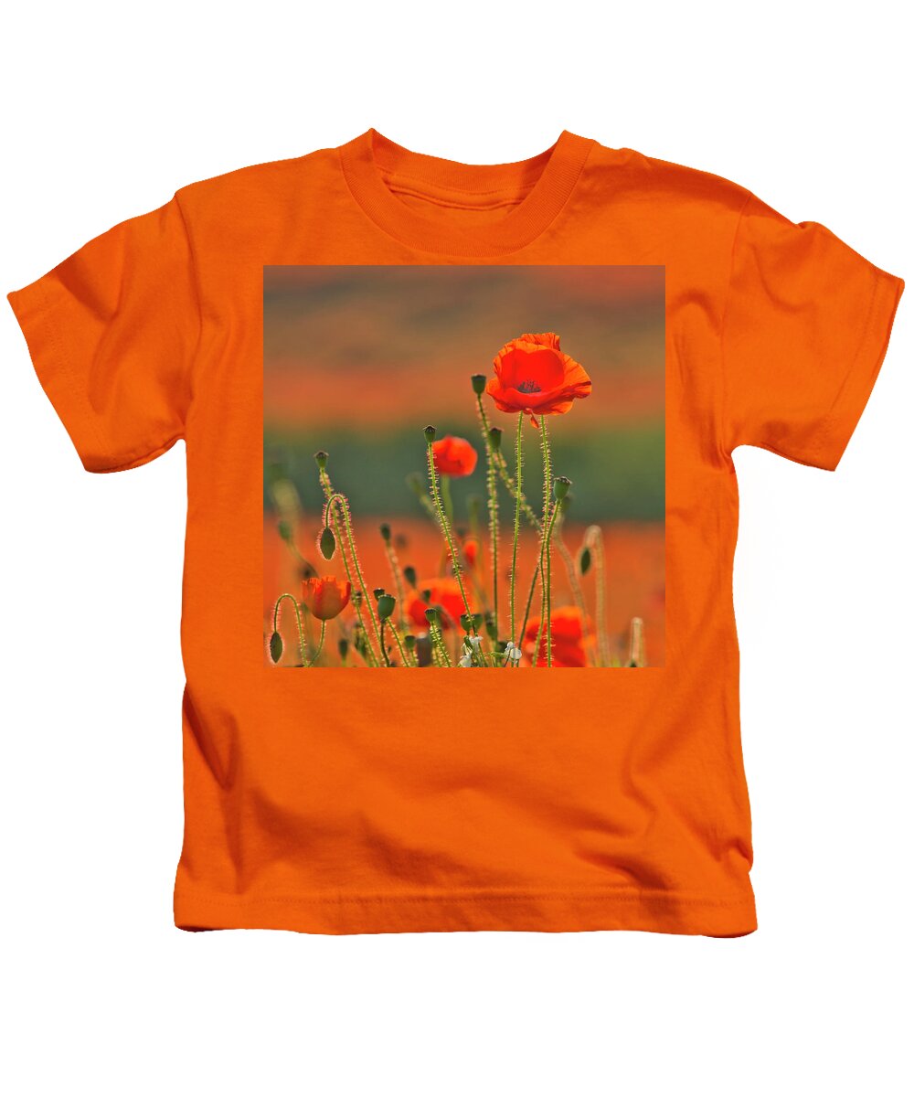 Landscape Kids T-Shirt featuring the photograph Poppy field 6 by Remigiusz MARCZAK