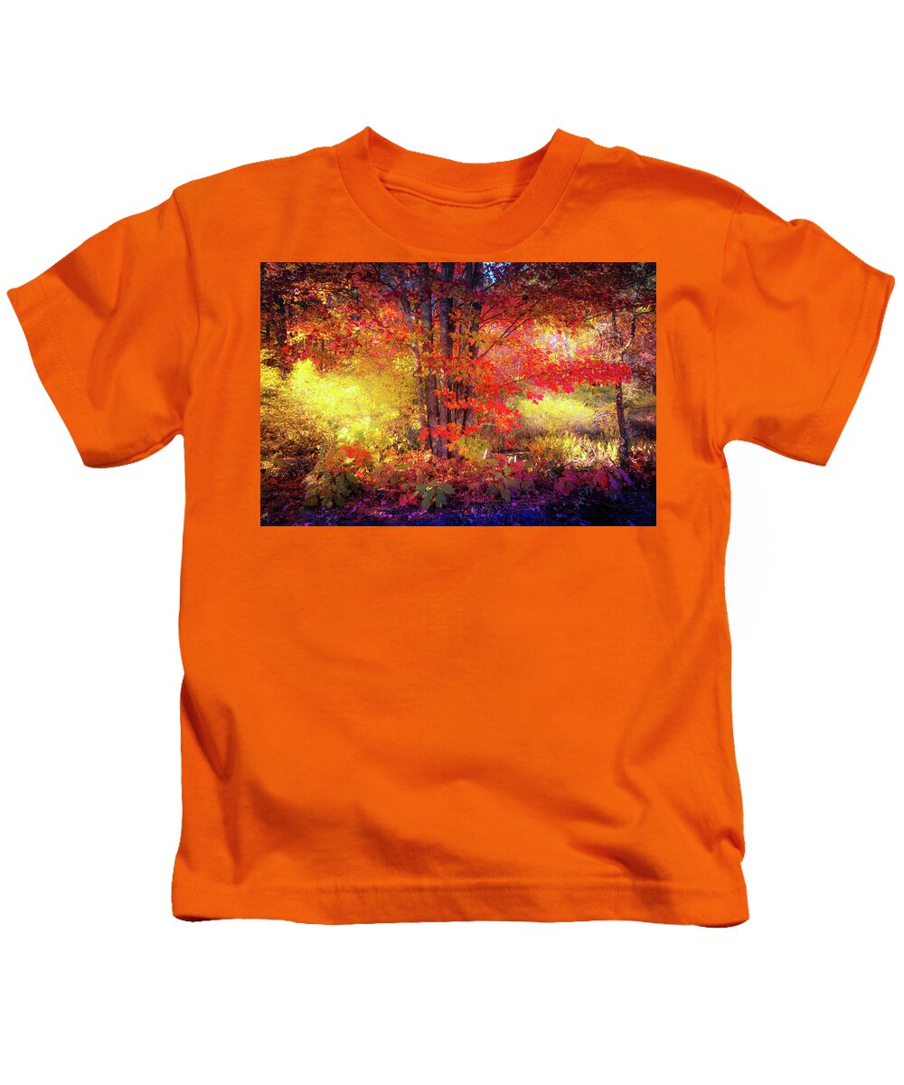 Foliage Kids T-Shirt featuring the photograph Red autumn leaves a by Lilia S