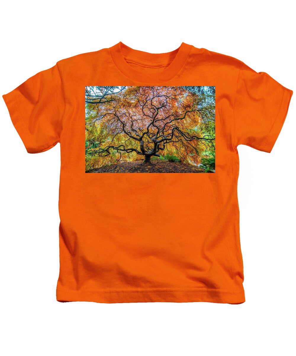Maple Kids T-Shirt featuring the photograph Sunny Japanese Maple by Jerry Cahill