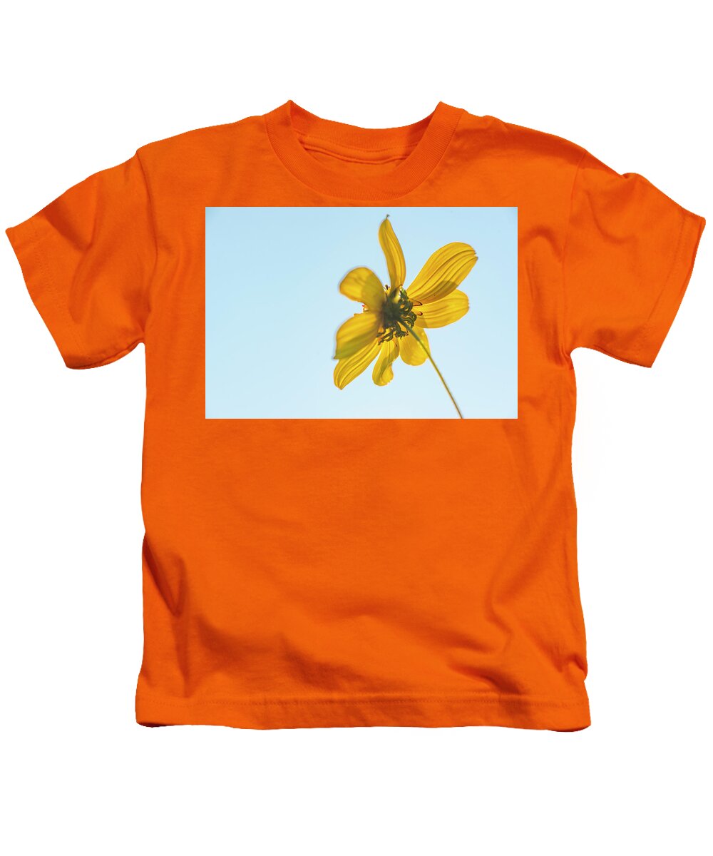 Daisy Kids T-Shirt featuring the photograph Yellow Daisy And Sky by Karen Rispin
