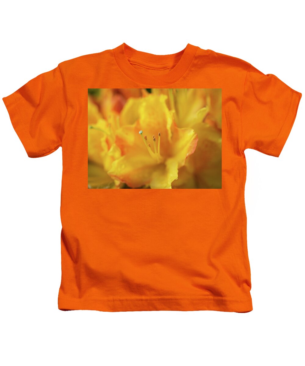 Fine Art Kids T-Shirt featuring the photograph Yellow rhododendron flower by Average Images