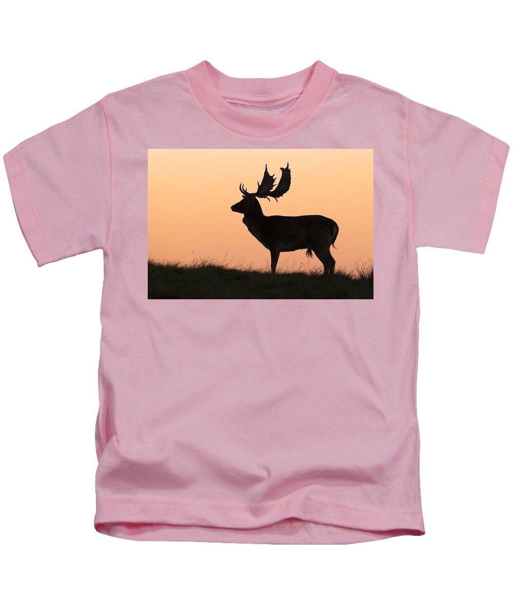 Feb0514 Kids T-Shirt featuring the photograph Fallow Deer Buck At Sunset Denmark #1 by Duncan Usher