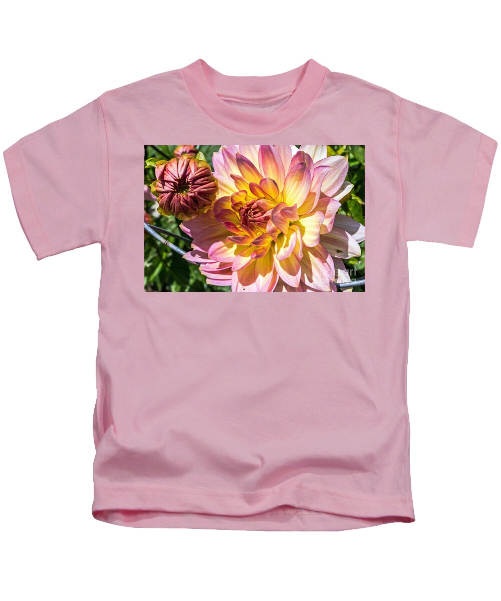 Community Garden Kids T-Shirt featuring the photograph Dahlia by Kate Brown