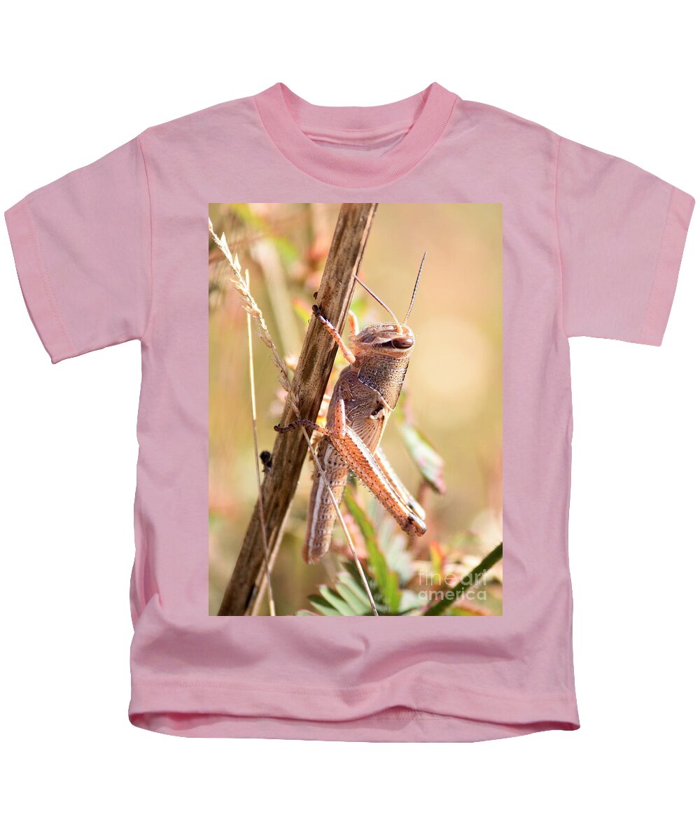 Grasshopper Kids T-Shirt featuring the photograph Grasshopper in the Marsh by Carol Groenen