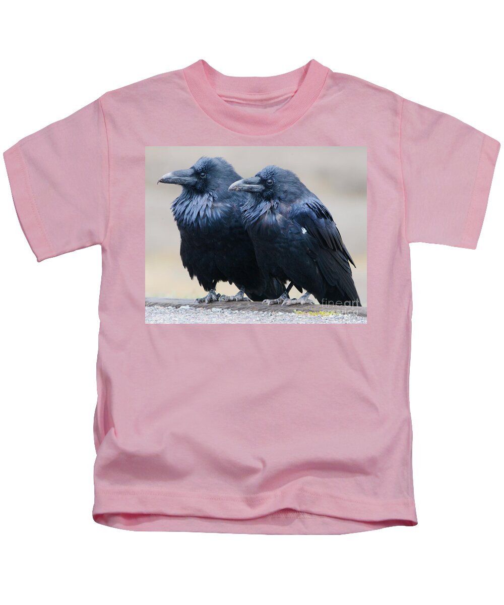 Ravens Kids T-Shirt featuring the photograph Ravens by John Greco