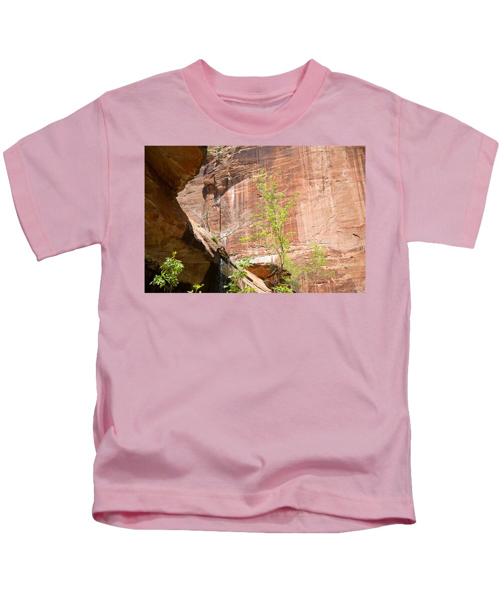 Zion National Park Kids T-Shirt featuring the photograph Red Rock with Waterfall by Natalie Rotman Cote