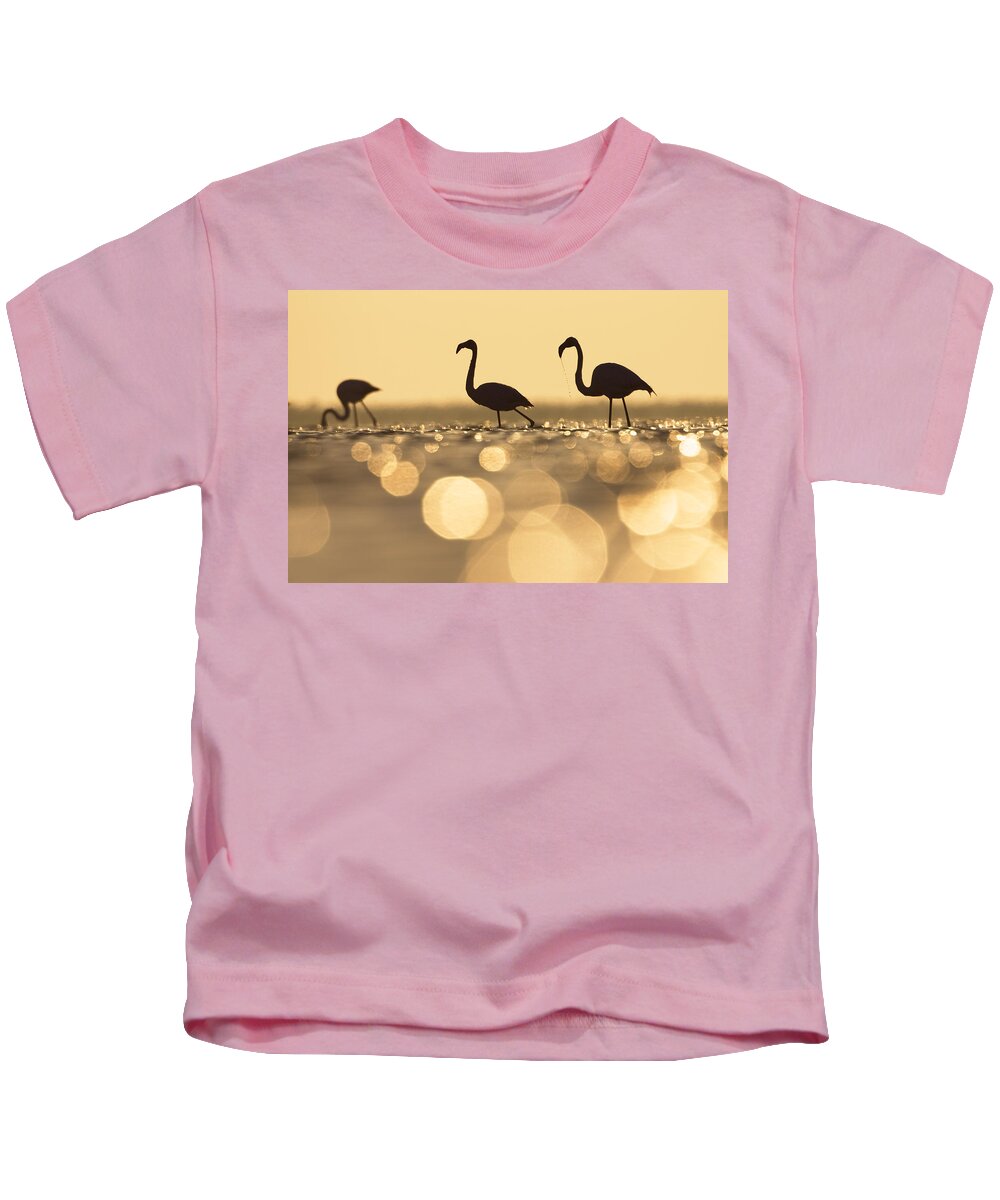 Mp Kids T-Shirt featuring the photograph Greater Flamingo Phoenicopterus Ruber #1 by Konrad Wothe