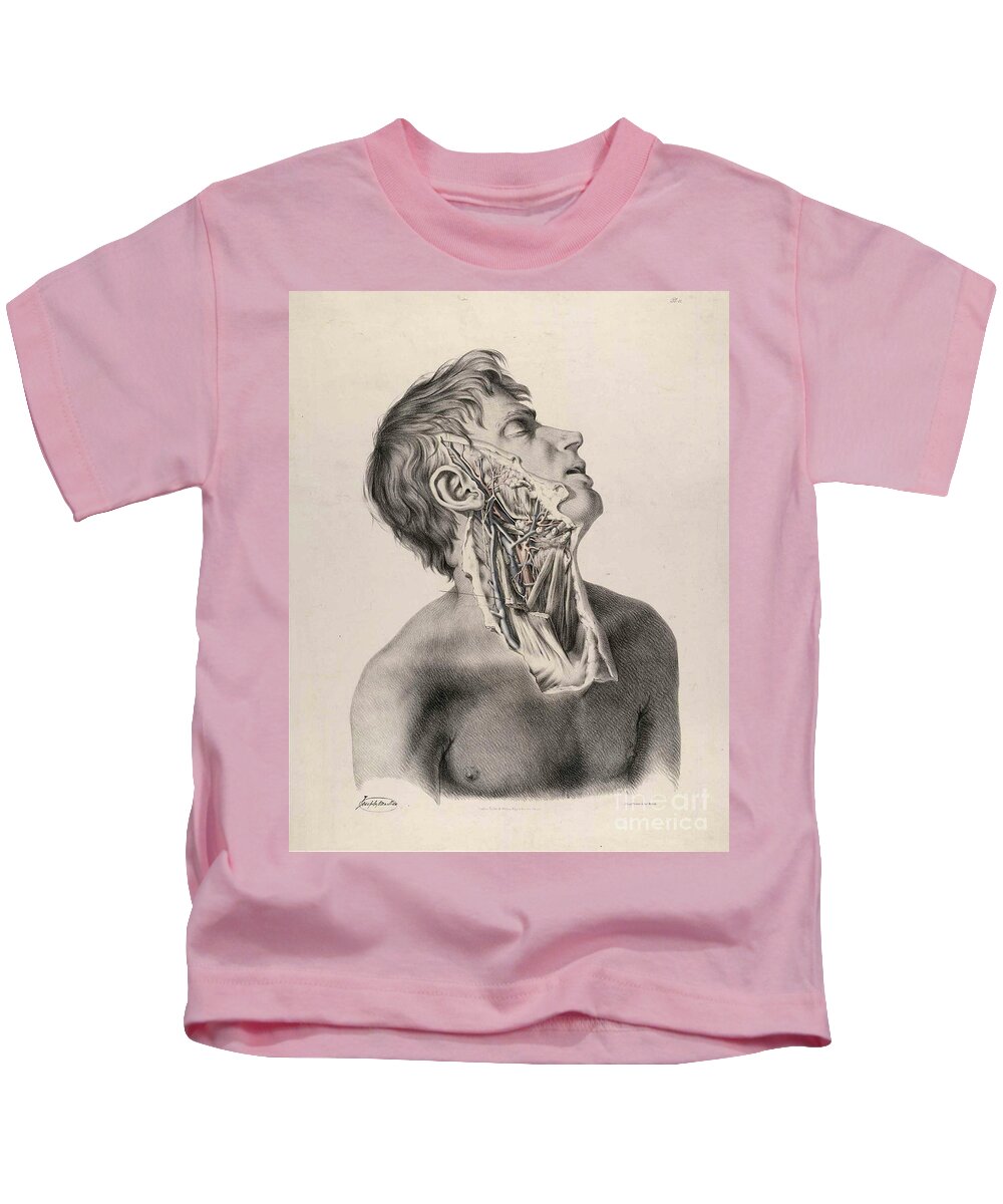 Anatomy Of Arteries Kids T-Shirt featuring the photograph Historical Anatomical Illustration #3 by Science Source