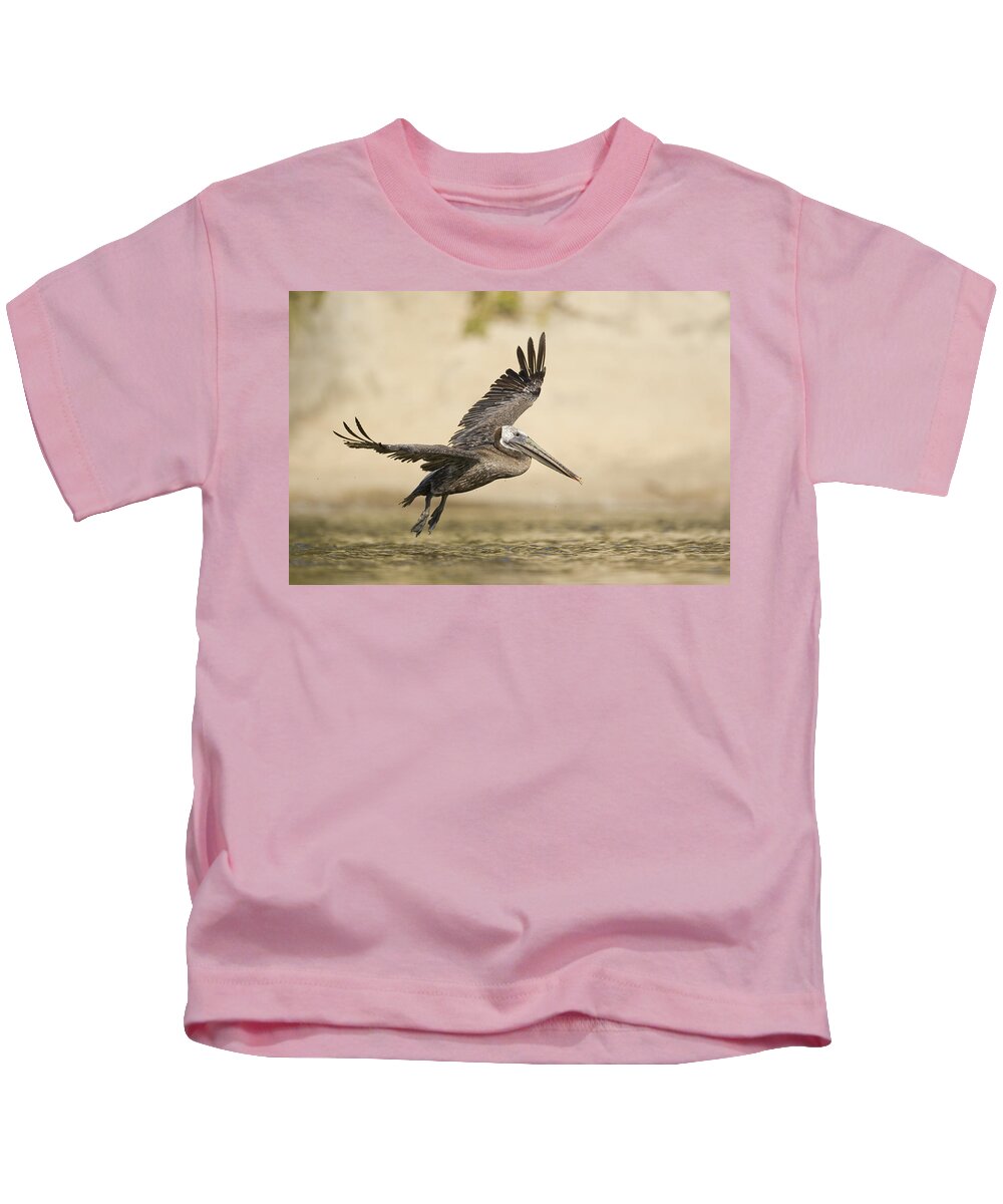 00429745 Kids T-Shirt featuring the photograph Brown Pelican Landing In Lagoon Santa by Sebastian Kennerknecht
