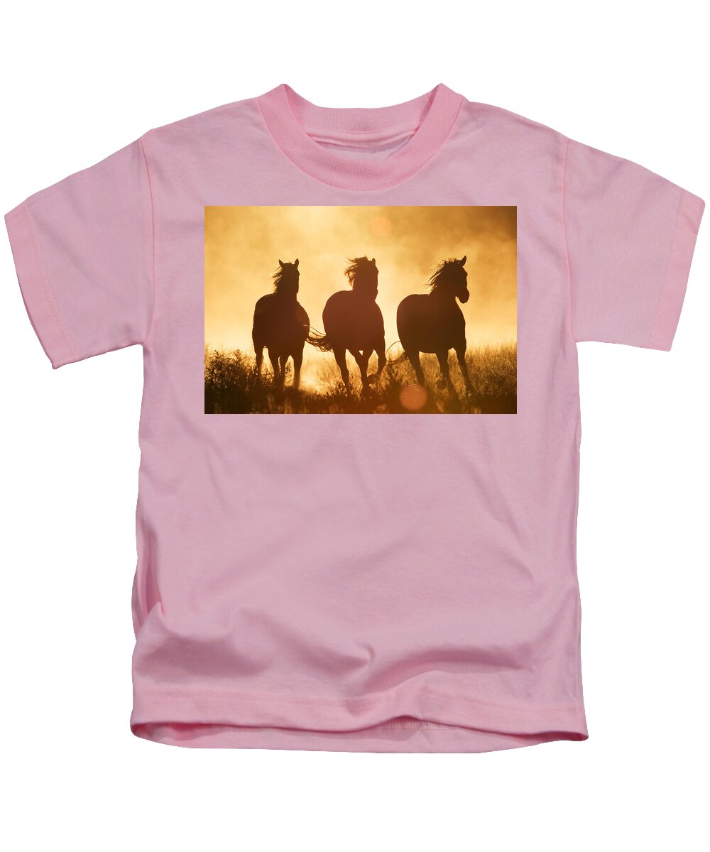 Mp Kids T-Shirt featuring the photograph Domestic Horse Equus Caballus Trio by Konrad Wothe