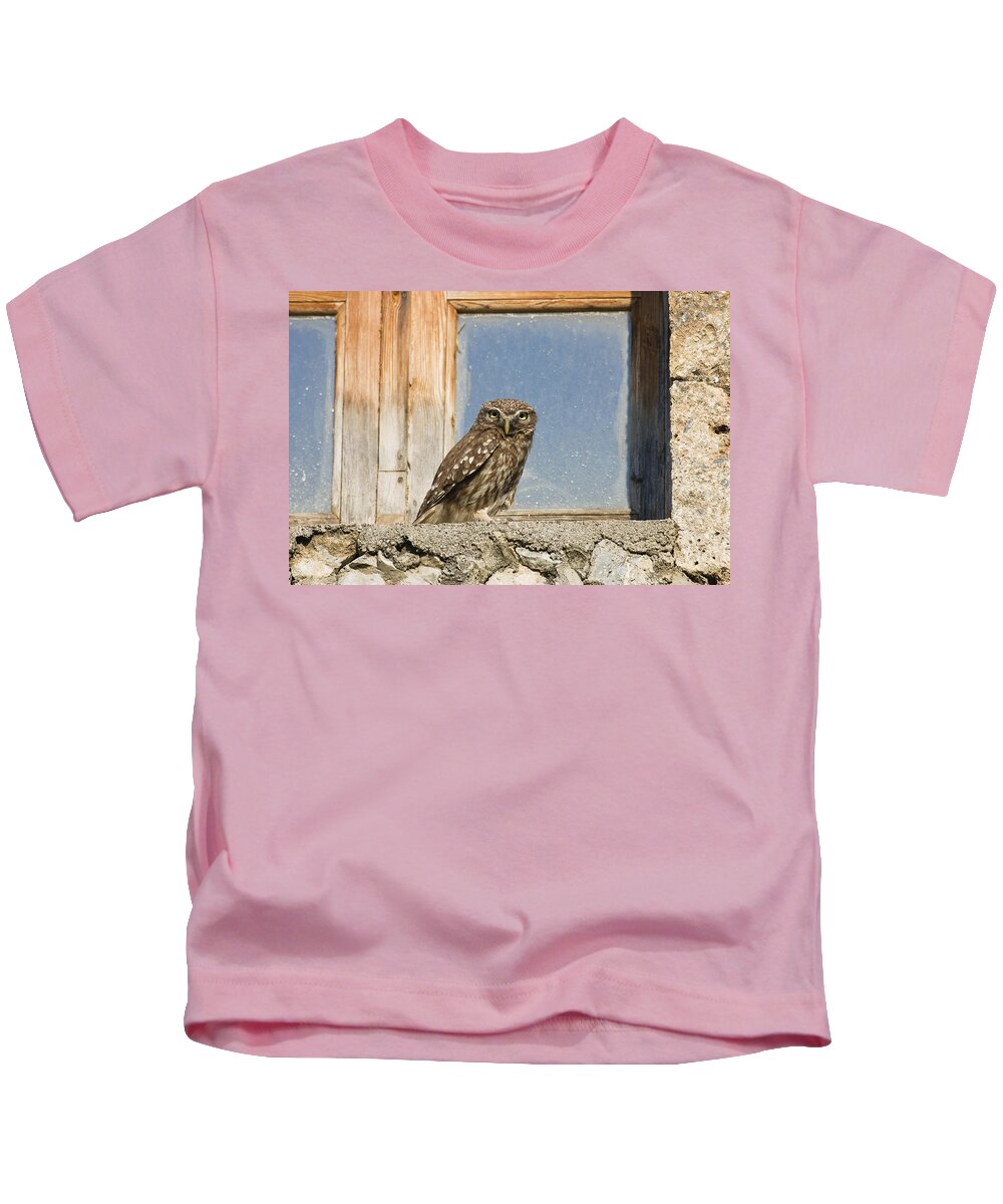 Mp Kids T-Shirt featuring the photograph Little Owl Athene Noctua On Window by Konrad Wothe