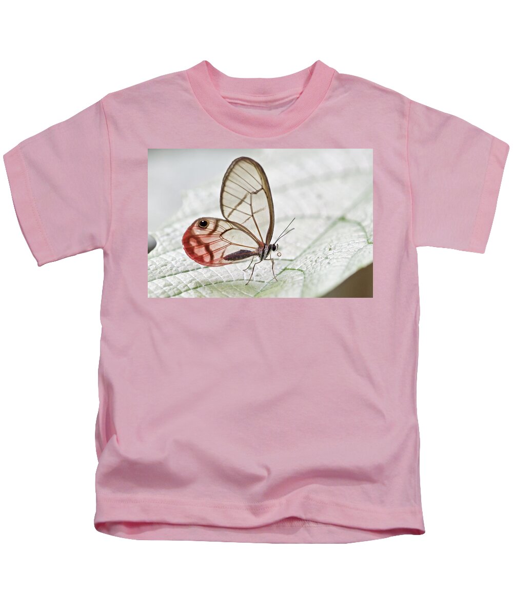 Fn Kids T-Shirt featuring the photograph Pink-tipped Clearwing Satyr Cithaerias by James Christensen