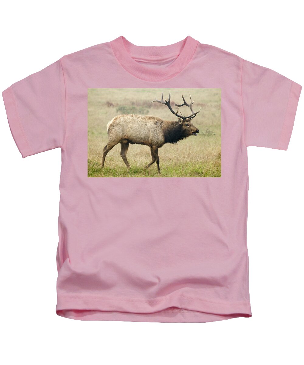 00499824 Kids T-Shirt featuring the photograph Tule Elk Bull Bugling During Rut Point by Sebastian Kennerknecht