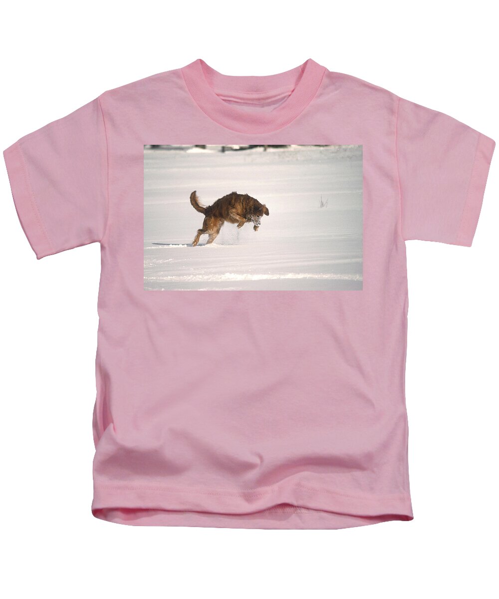 Golden Retriever Kids T-Shirt featuring the photograph Andy - On The Hunt by DArcy Evans