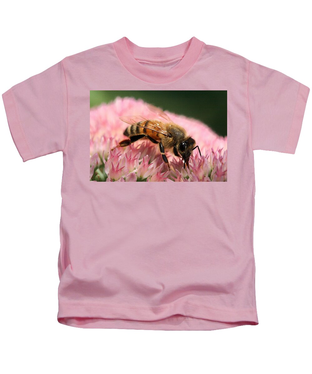 Bee Kids T-Shirt featuring the photograph Bee on Flower 6 by Angela Rath