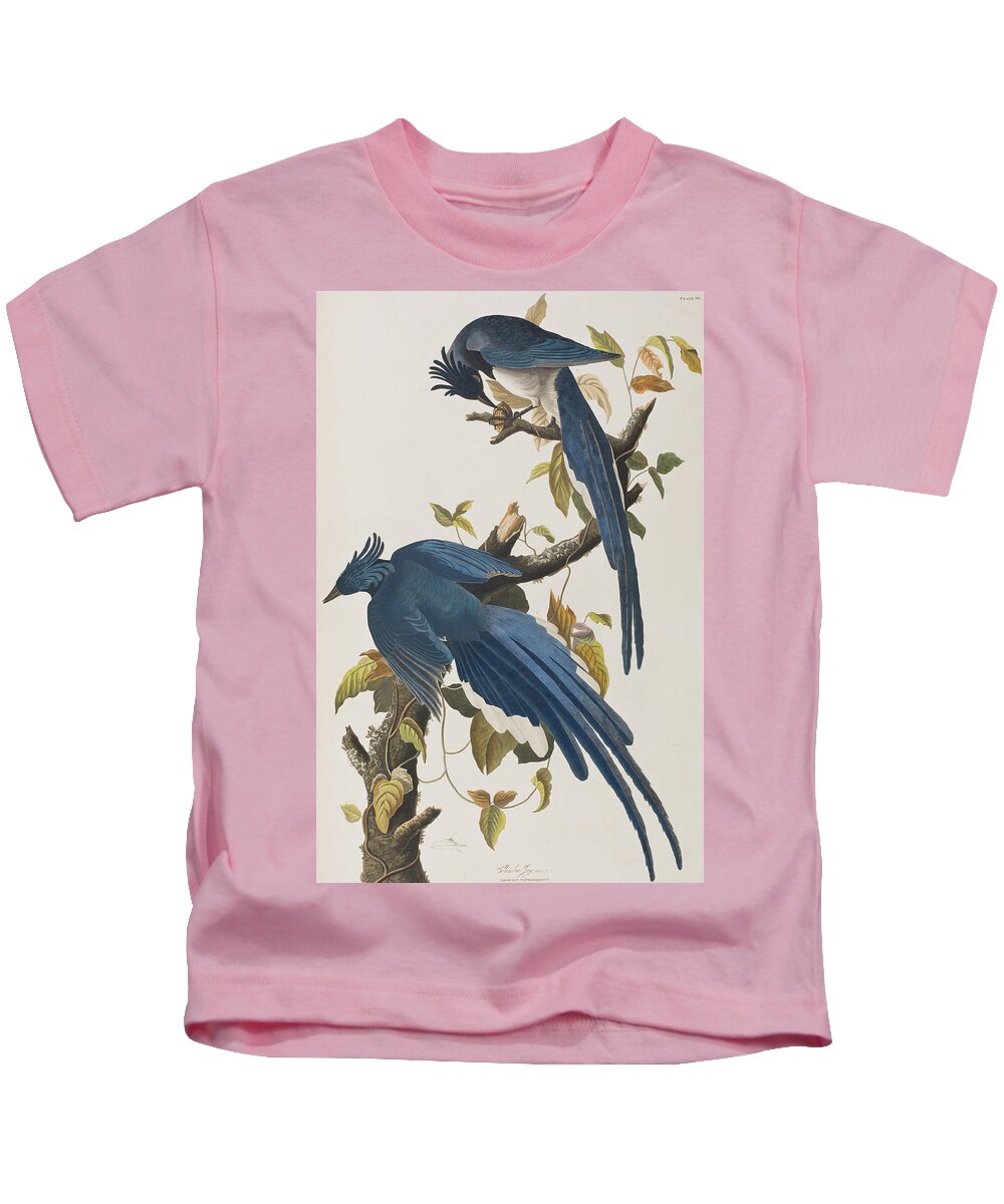 Columbia Jay Kids T-Shirt featuring the painting Columbia Jay by John James Audubon
