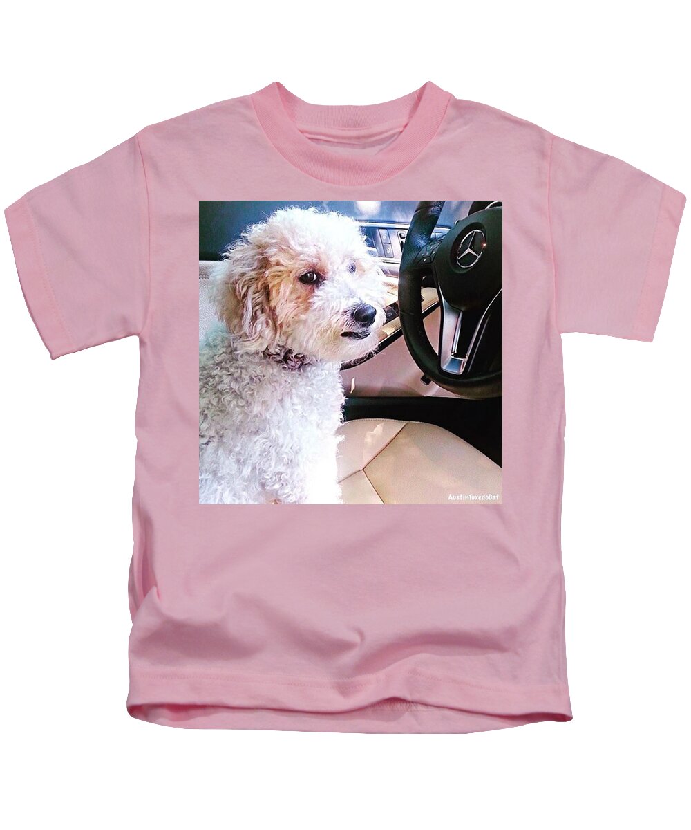 Wheel Kids T-Shirt featuring the photograph Cousin Theo Is Behind The #wheel And by Austin Tuxedo Cat