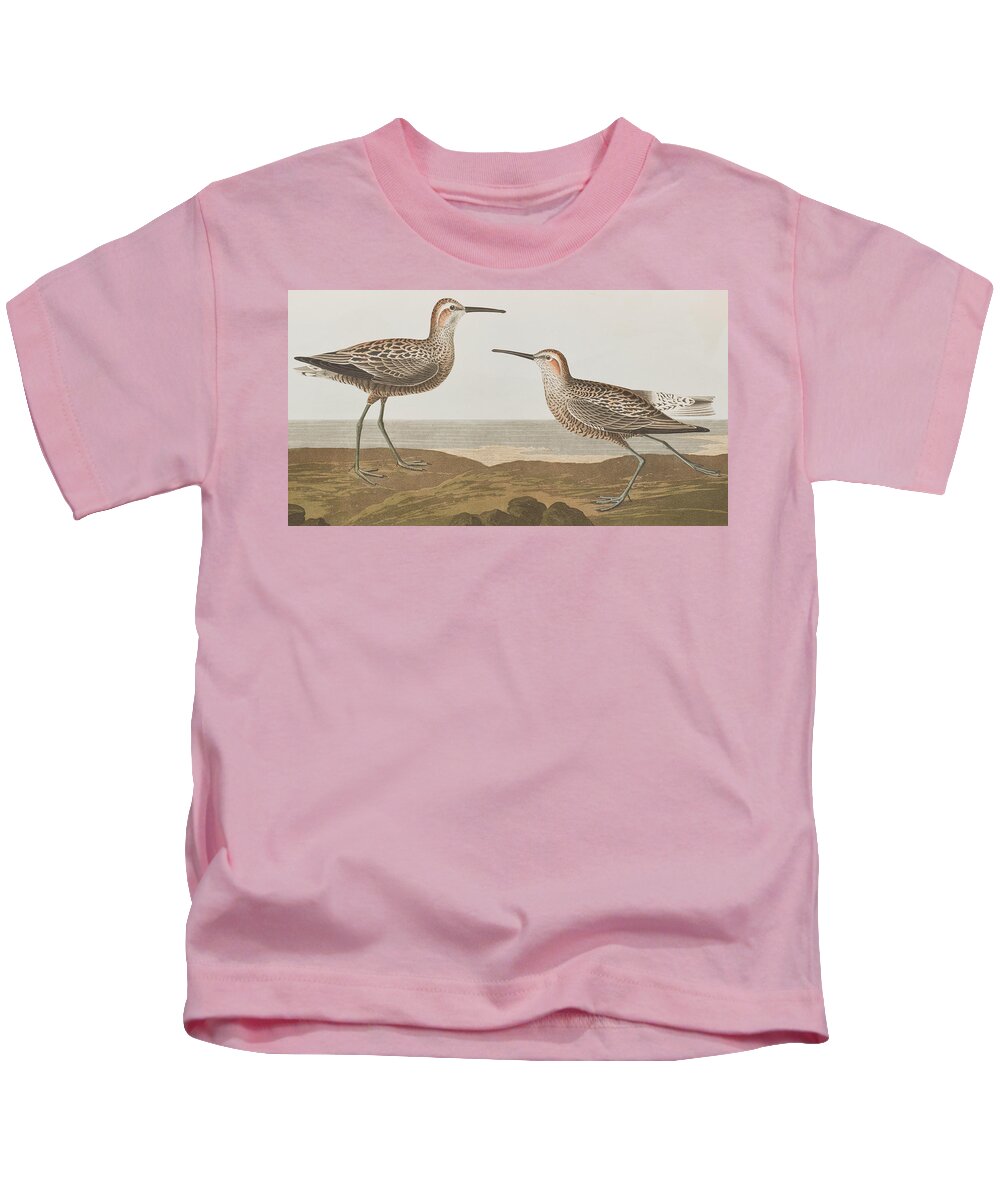 Long-legged Sandpiper Kids T-Shirt featuring the painting Long-legged Sandpiper by John James Audubon