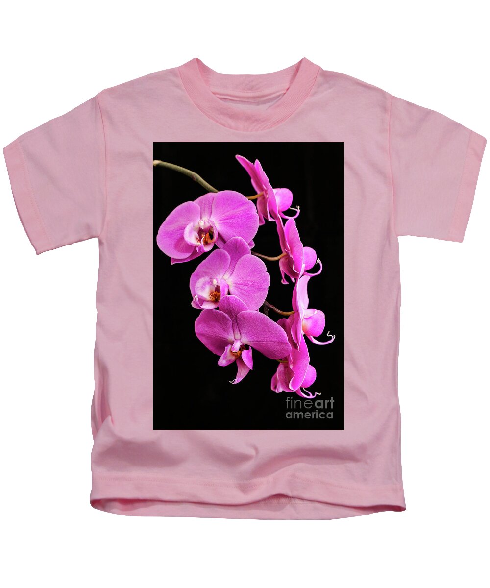 Pink Orchid Kids T-Shirt featuring the photograph Pink Orchid with Black background by Andy Myatt