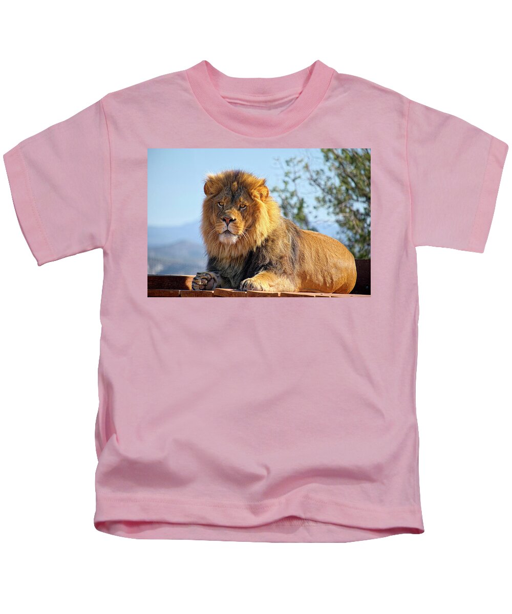 Face Mask Kids T-Shirt featuring the photograph Strength and Power by Lucinda Walter
