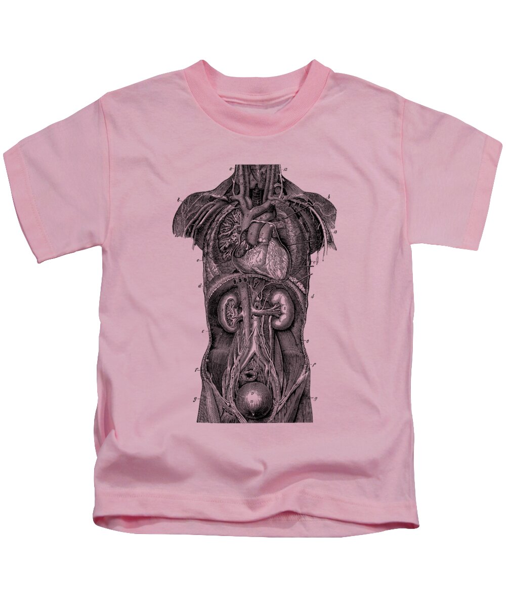 Heart Kids T-Shirt featuring the drawing Upper Body Anatomy Diagram by Vintage Anatomy Prints