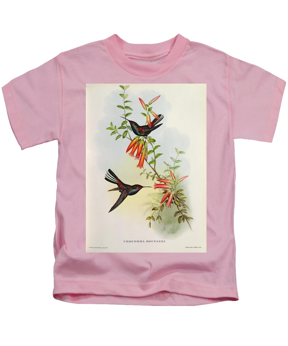 Urochroa Kids T-Shirt featuring the painting Urochroa Bougieri by John Gould