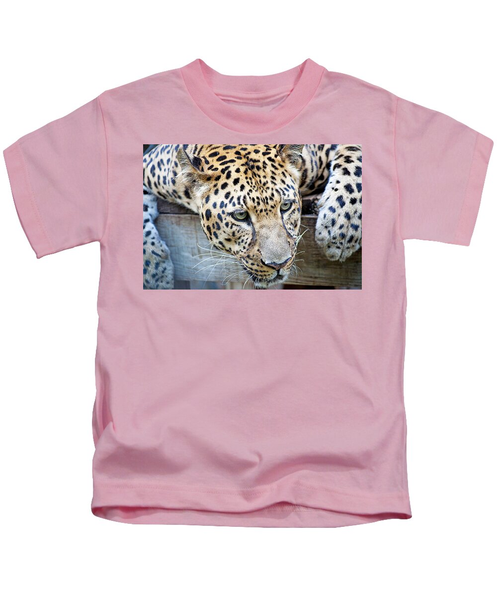 Leopard Kids T-Shirt featuring the photograph Watching You by Kenneth Albin