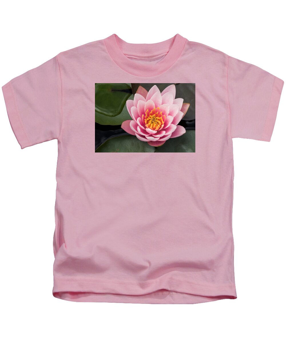Water Lily Kids T-Shirt featuring the photograph Water Lily Study #3 by Mindy Musick King