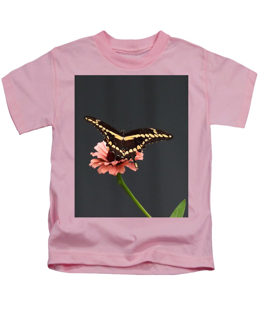 Zinnia Kids T-Shirt featuring the photograph Zinnia with Butterfly 2708 by John Moyer