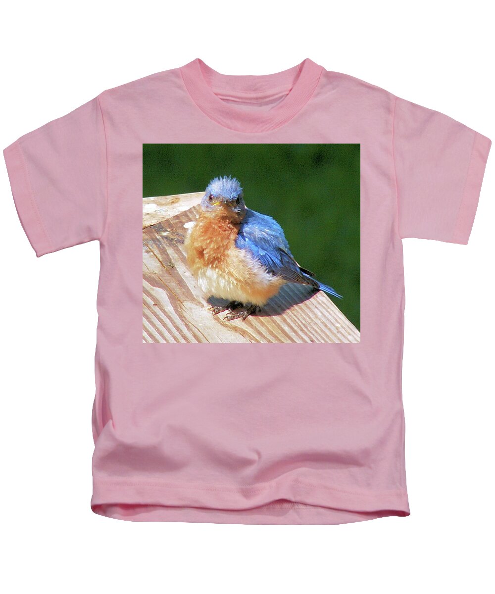 Birds Kids T-Shirt featuring the photograph Baby Bluebird by Karen Stansberry
