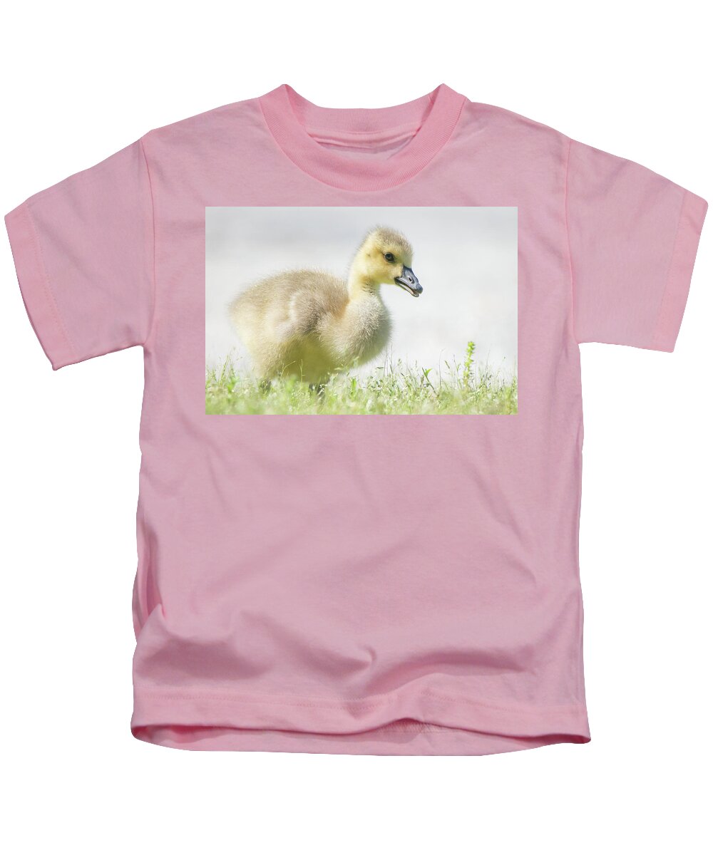 Goslings Kids T-Shirt featuring the photograph Little Gosling by Mary Ann Artz