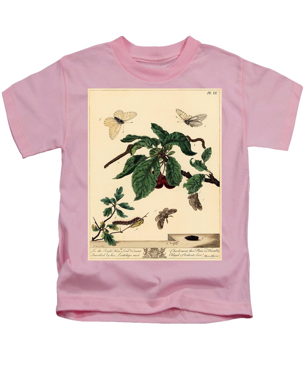 19th Century Kids T-Shirt featuring the drawing Moses Harris from 'The Aurelian, a Natural History of English Moths and Butterflies,' 1840. by Album
