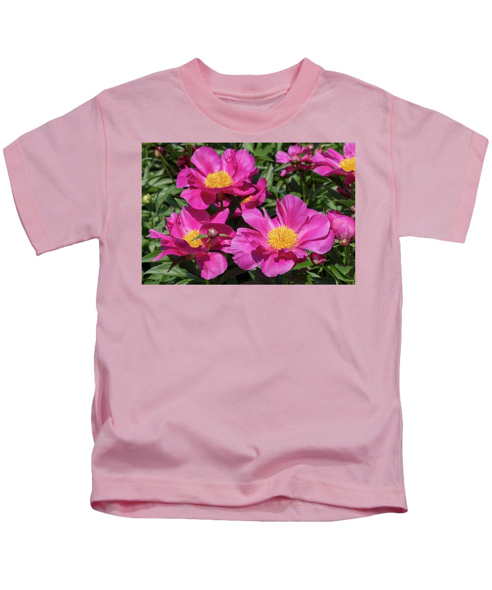 Flower Kids T-Shirt featuring the photograph Paeonia Roland by Dawn Cavalieri