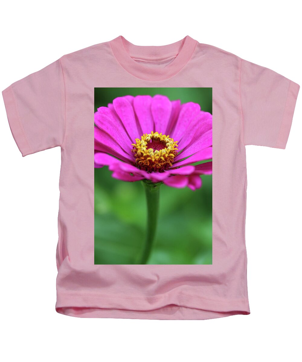Flower Kids T-Shirt featuring the photograph Purple Zinnia by Mary Anne Delgado