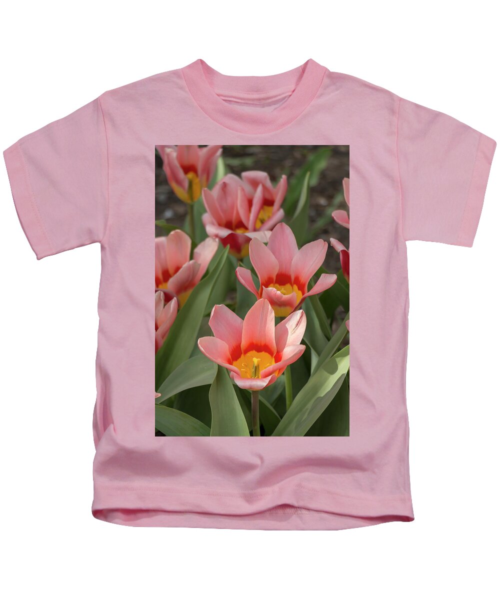 Flower Kids T-Shirt featuring the photograph Tulip Analita by Dawn Cavalieri