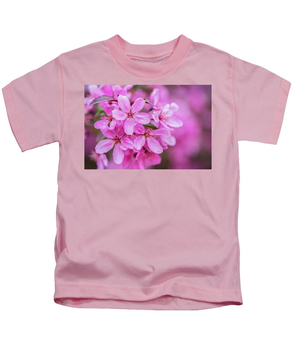 Blooms Kids T-Shirt featuring the photograph Crab Apple Blossoms by Linda Shannon Morgan