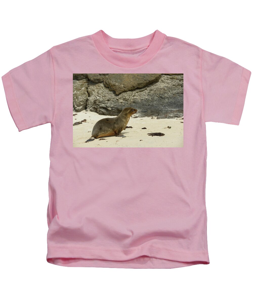 Republic Of Ecuador Kids T-Shirt featuring the photograph Galapagos sea lion, Floreana Island, Galapagos Islands, Ecuador by Kevin Oke