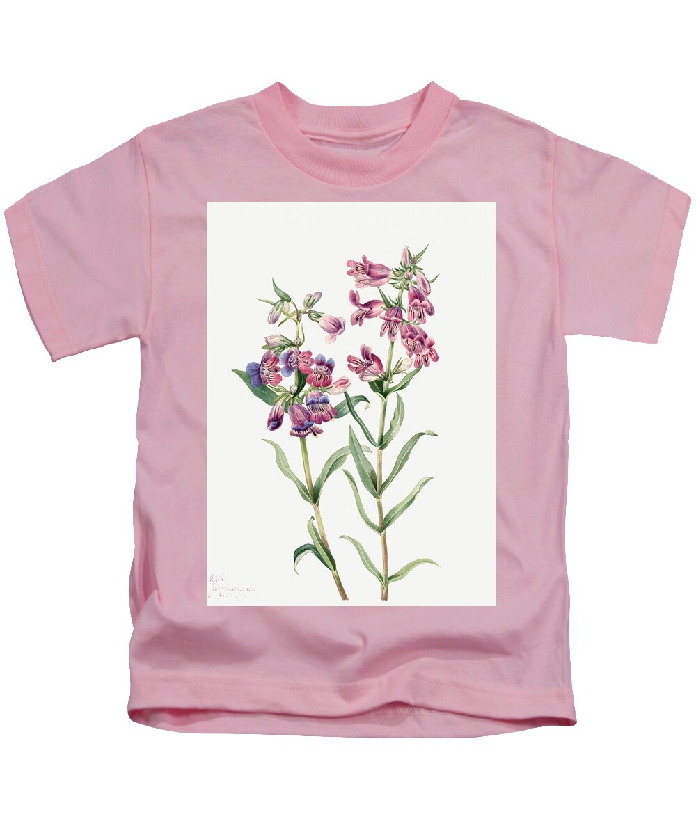 Prairie Penstemon Kids T-Shirt featuring the painting Prairie Penstemon by Mary Vaux Walcott. by World Art Collective