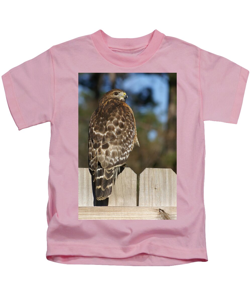  Kids T-Shirt featuring the photograph Red-Shouldered Hawk by Heather E Harman