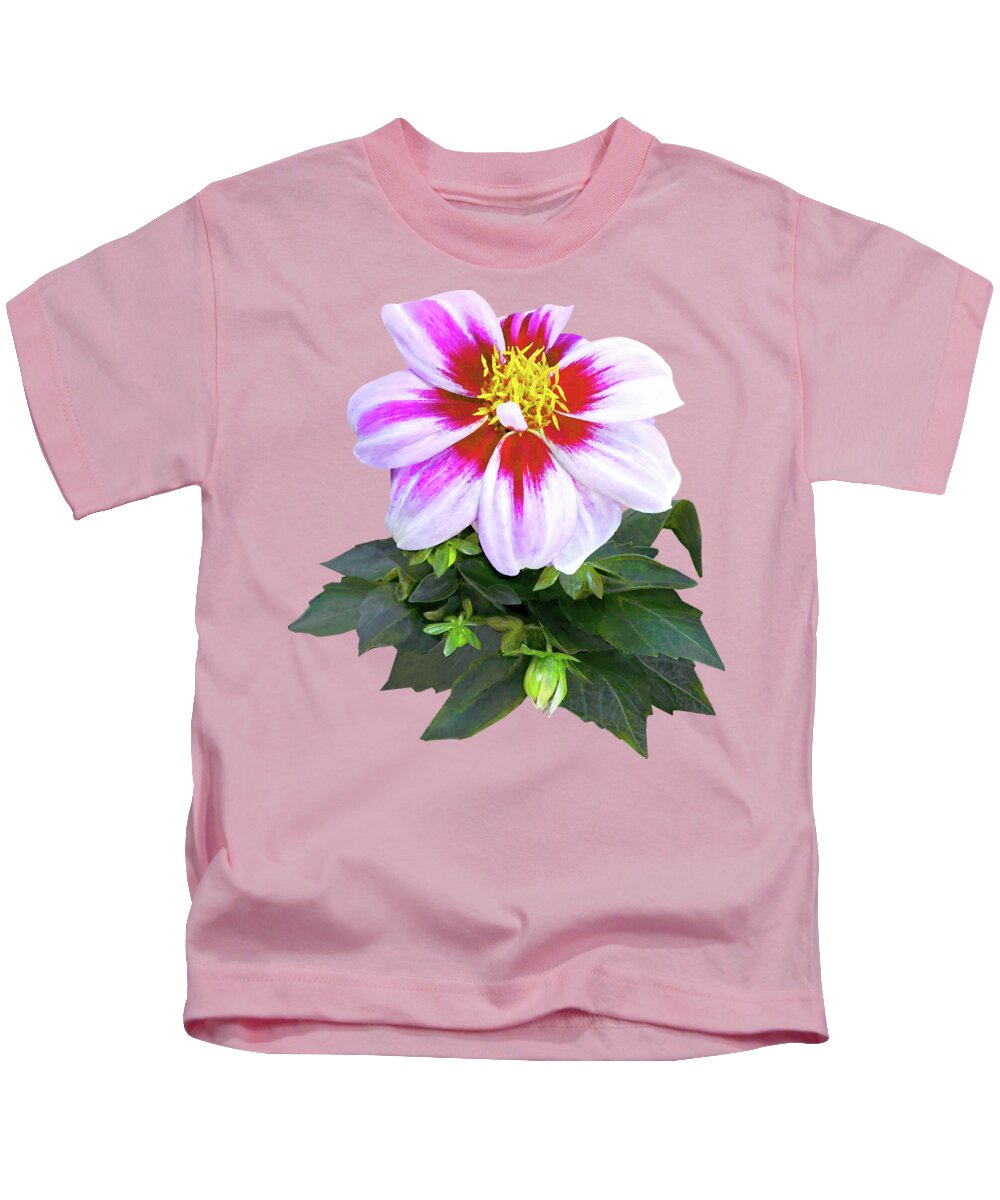 Dahlia Kids T-Shirt featuring the photograph Two-Toned Pink Dahlia by Susan Savad