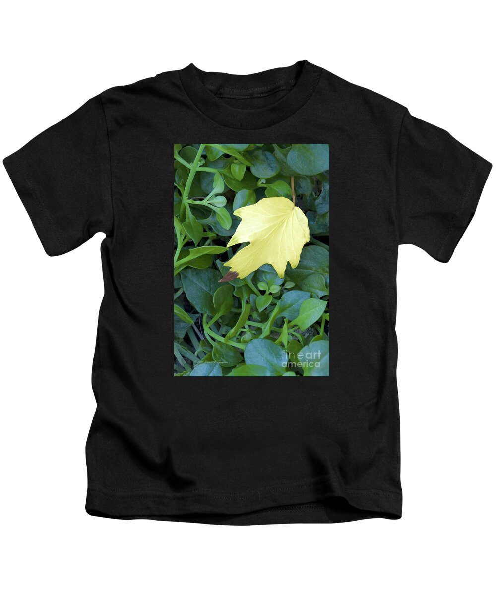 Vertical Kids T-Shirt featuring the photograph Fallen Yellow Leaf by Richard J Thompson 
