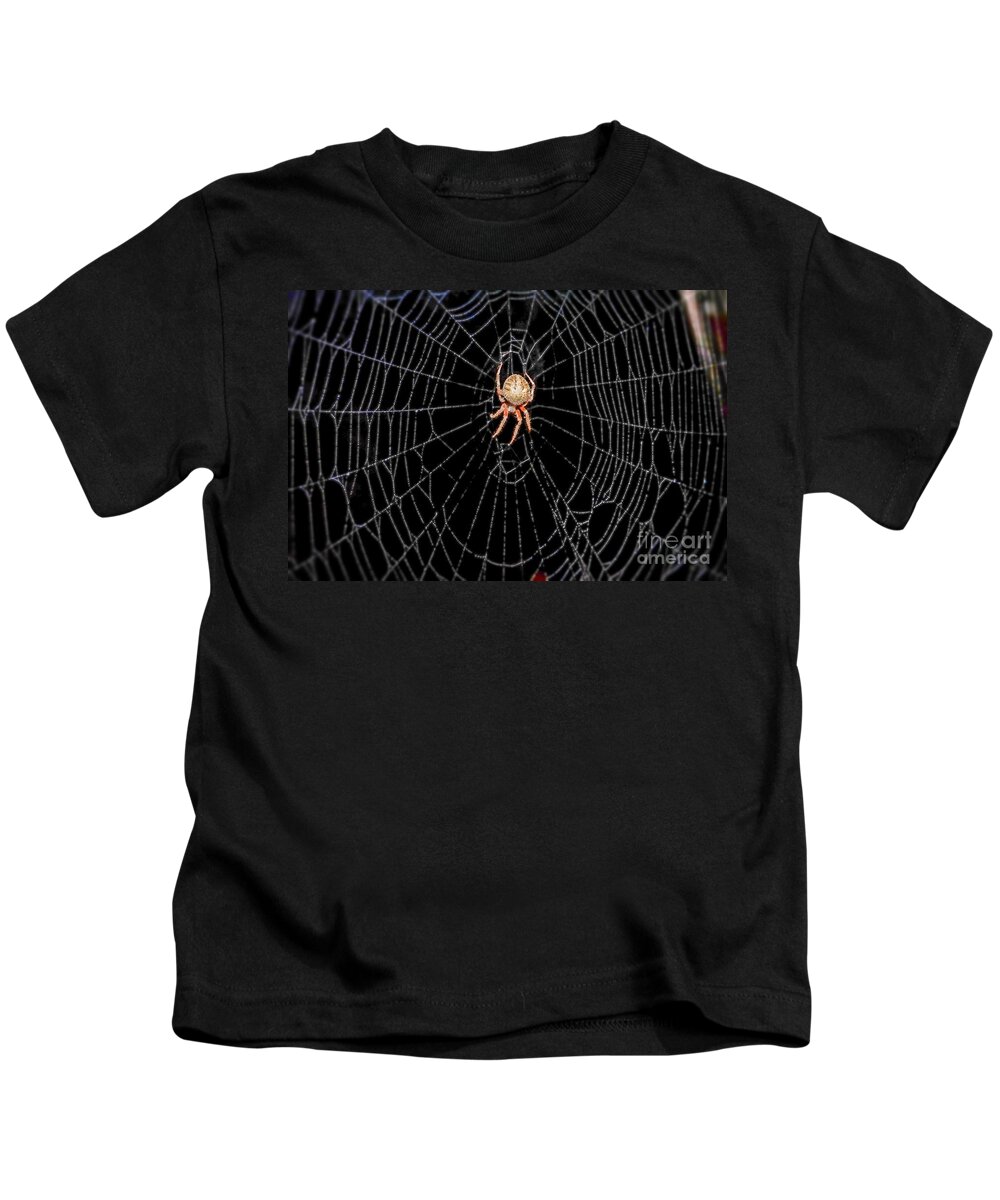 Spider Web Kids T-Shirt featuring the photograph Spider in Web by Peggy Franz