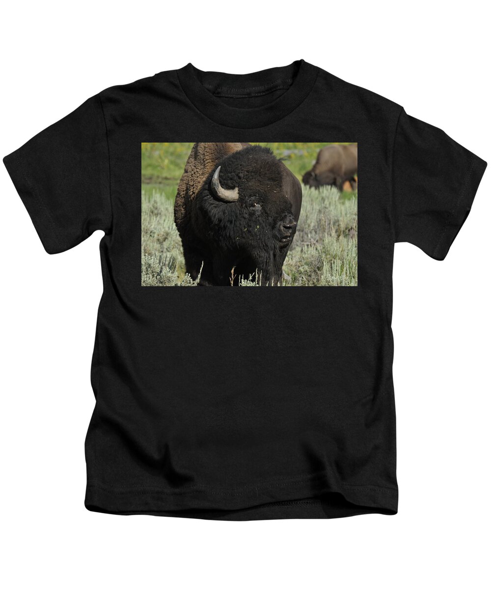 Bison Kids T-Shirt featuring the photograph Bison #1 by Frank Madia