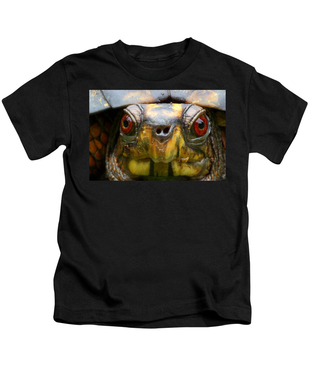 Eastern Box Turtle Kids T-Shirt featuring the photograph Eastern Box Turtle 2 by Michael Eingle