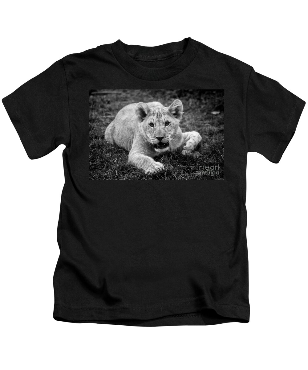  Kids T-Shirt featuring the photograph Lion Cub #1 by David Rucker
