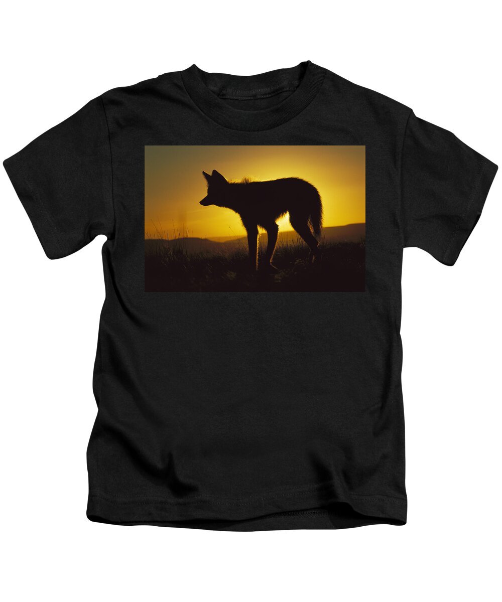 Feb0514 Kids T-Shirt featuring the photograph Maned Wolf Hunting At Dusk Brazil #1 by Tui De Roy